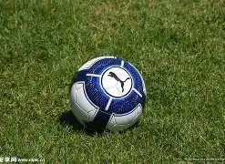 杜蘭特認為,努爾基奇作,用關鍵,香港赛马,赛程安排,赛果查询,马匹资料,赛事资讯