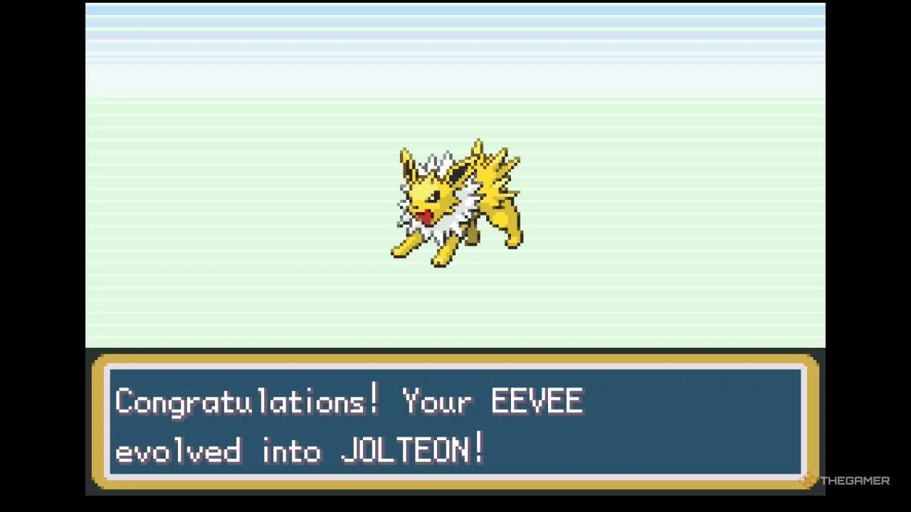 亞足聯紅牌,規定跨賽季,生效,香港赛马,赛程安排,赛果查询,马匹资料,赛事资讯