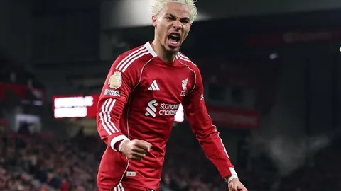 意媒曝：米兰或卖福法纳购格雷茨卡，筹集引援资金