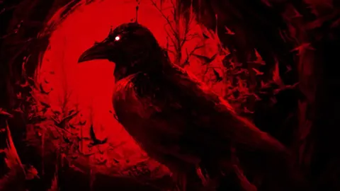 大乐透期号专家推荐：森林狼主场分析斩猛龙